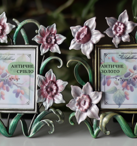 Рамка DAFFODIL SILVER Срібна FDS фото